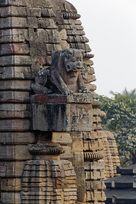 Bhubaneswar-Lingaraja temple-029